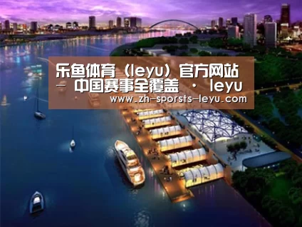案例展示八